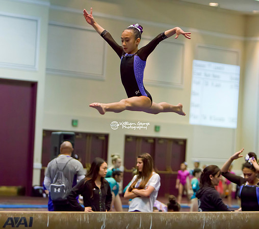 Las Vegas Gymnastics