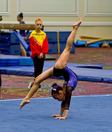 Las Vegas Gymnastics