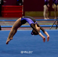 Las Vegas Gymnastics