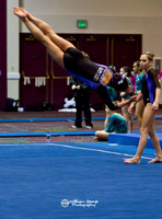 Las Vegas Gymnastics