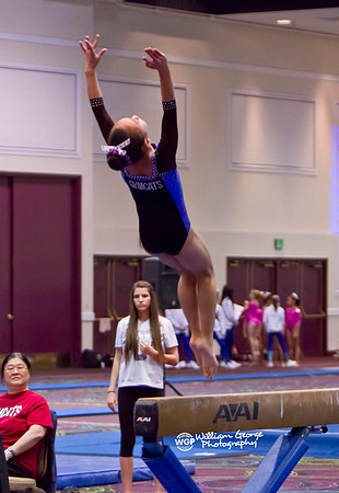 Las Vegas Gymnastics