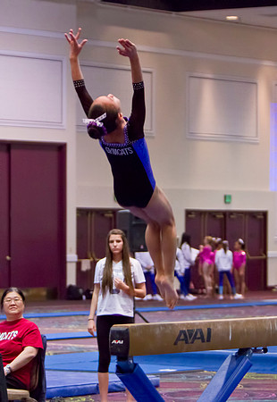 Las Vegas Gymnastics
