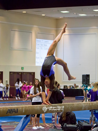 Las Vegas Gymnastics