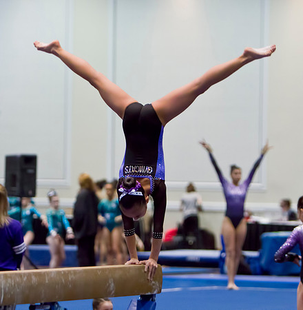 Las Vegas Gymnastics