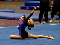 Las Vegas Gymnastics