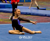 Las Vegas Gymnastics