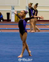 Las Vegas Gymnastics