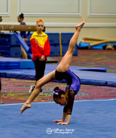 Las Vegas Gymnastics