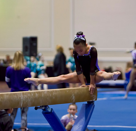 Las Vegas Gymnastics