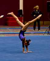 Las Vegas Gymnastics