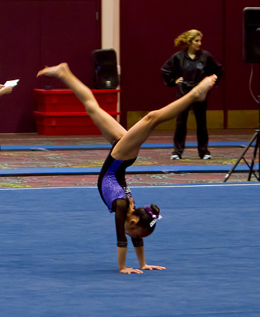 Las Vegas Gymnastics