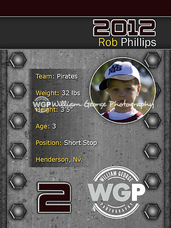 Trading Cards Back