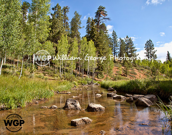Aspen Mirror Creek