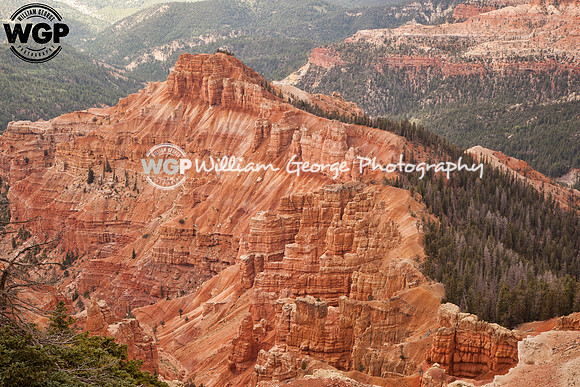 Cedar Breaks National Monument - Southern Utah