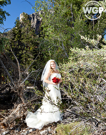 Las Vegas Wedding
