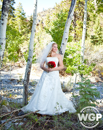 Las Vegas Wedding