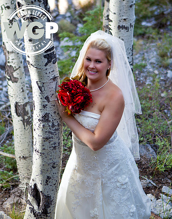 Las Vegas Wedding