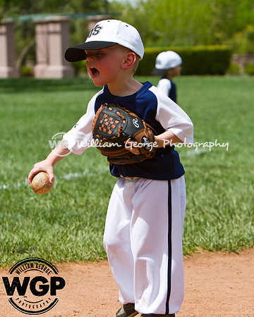 T-Ball 2013