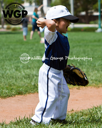 T-Ball 2013