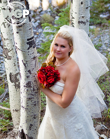 Las Vegas Wedding