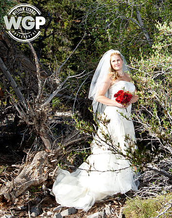 Las Vegas Wedding