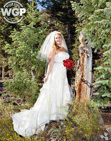 Las Vegas Wedding