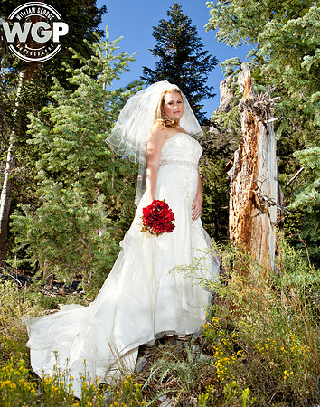 Las Vegas Wedding