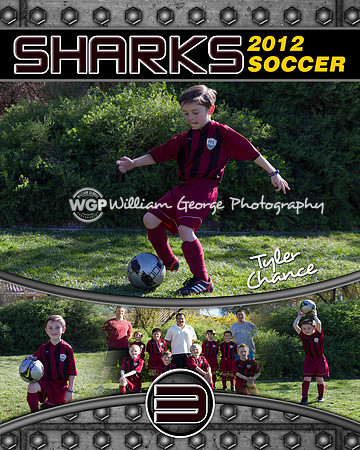 Individual Pictures