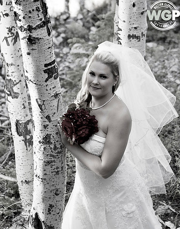 Las Vegas Wedding