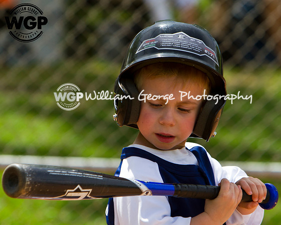 T-Ball 2013