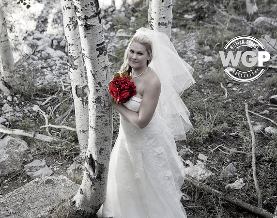 Las Vegas Wedding