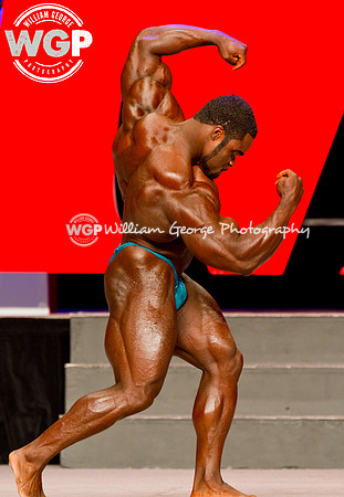 Mr. Olympia 2013
