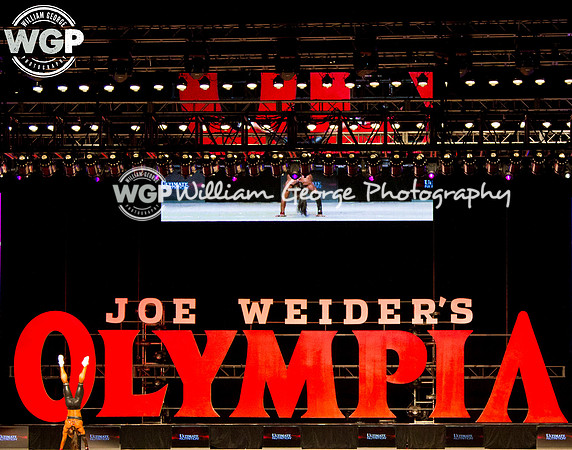 Mr. Olympia 2013