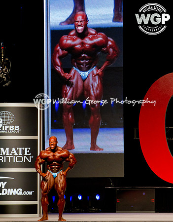 Mr. Olympia 2013