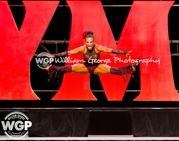Mr. Olympia 2013