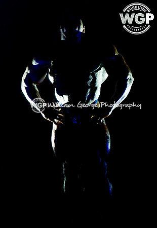 Mr. Olympia 2013