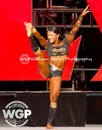 Mr. Olympia 2013