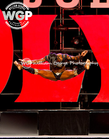 Mr. Olympia 2013