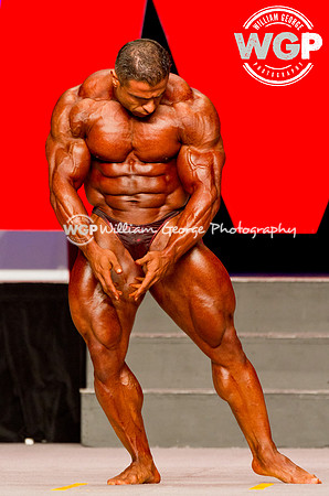 Mr. Olympia 2013