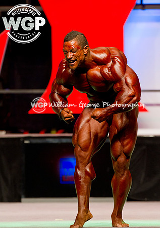 Mr. Olympia 2013