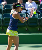BNP Paribas Open 2016