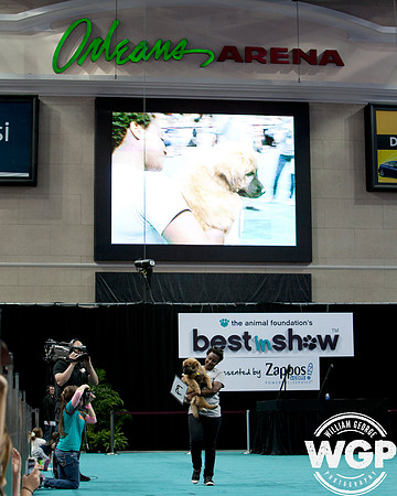 Best in Show 2013