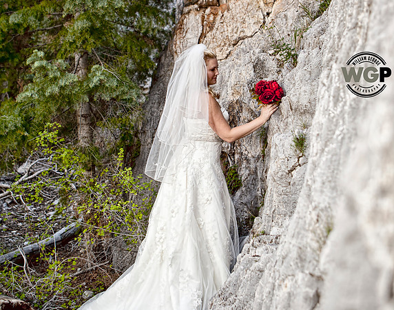 Las Vegas Wedding