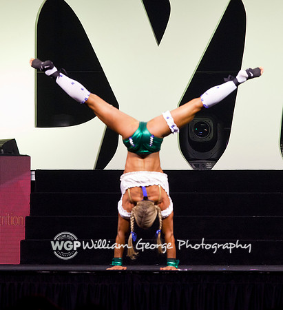 Mr. Olympia 2015