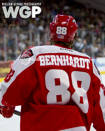 Las Vegas Wranglers Hockey
