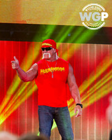 Impact Wresteling