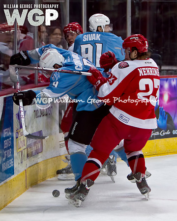 Las Vegas Wranglers Hockey