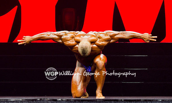 Mr. Olympia 2015